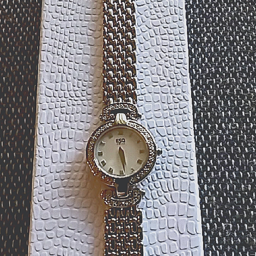 NWOT ESQ Silver Watch with White Dial